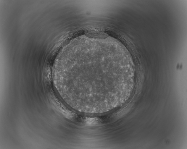 X0000115410336200912011346