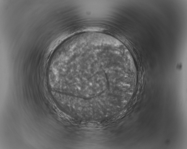 X0000115410337200912011345