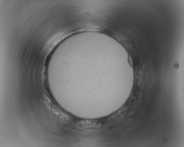 X0000115410338200912011345