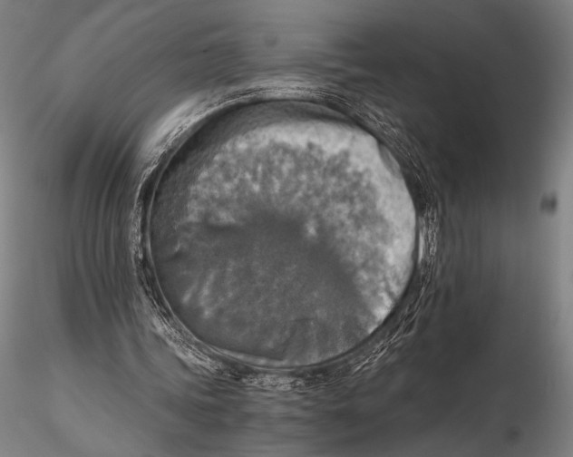 X0000115410339200912011345