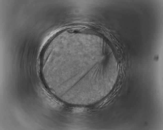 X0000115410342200912011345