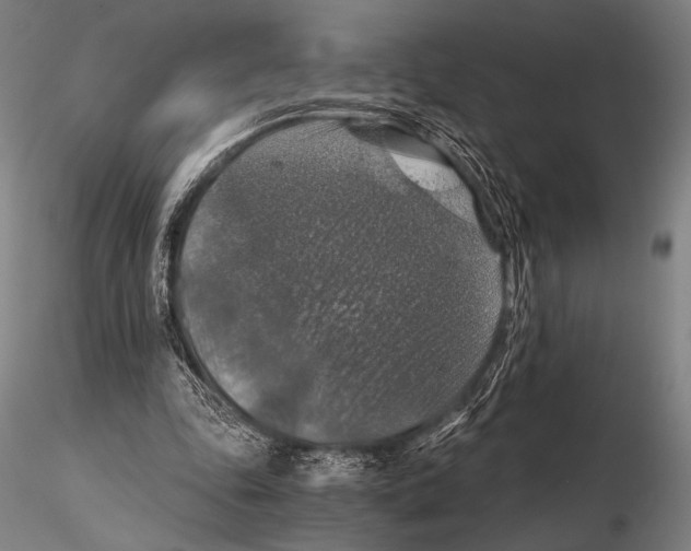 X0000115410343200912011345