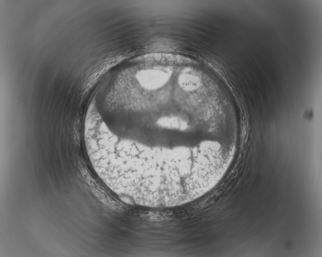 X0000115410345200912011345