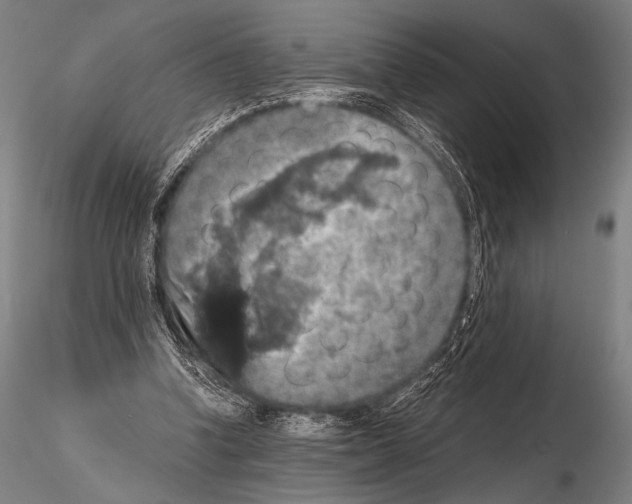 X0000115410346200912011345