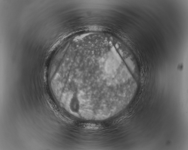 X0000115410347200912011345