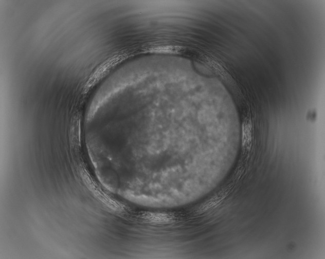 X0000115410349200912011345