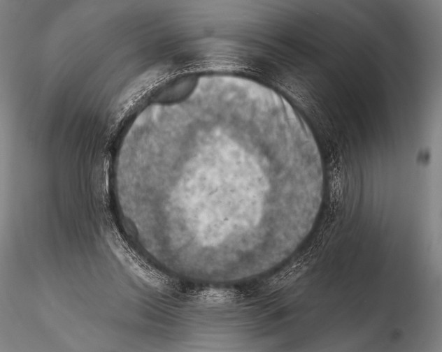 X0000115410350200912011345