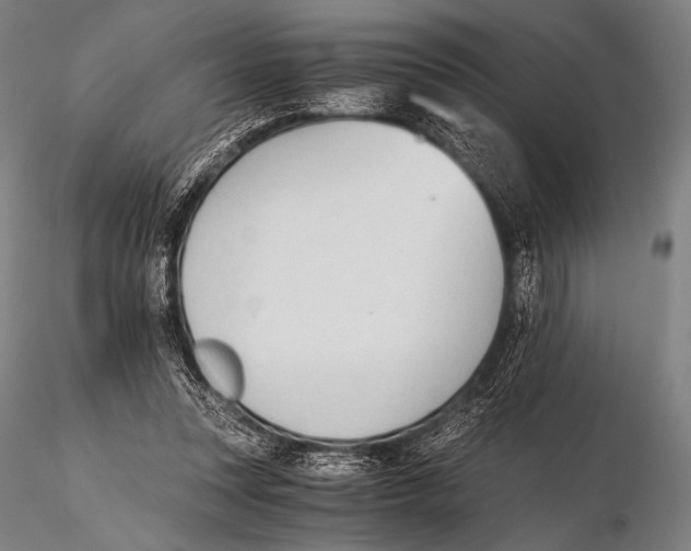 X0000115410351200912011345