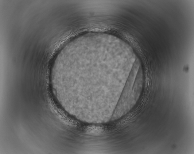 X0000115410354200912011345