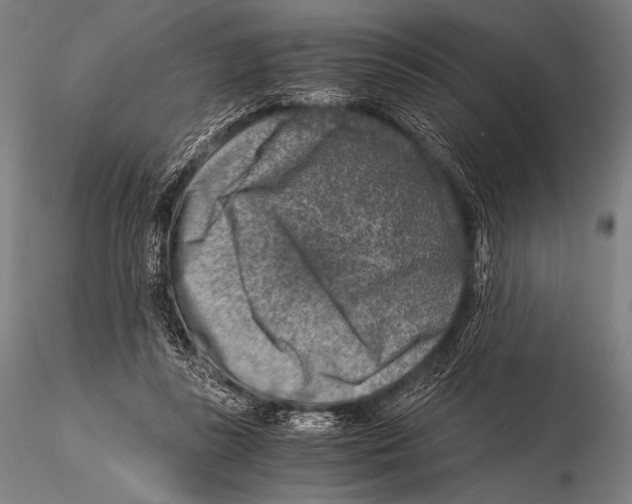 X0000115410355200912011345