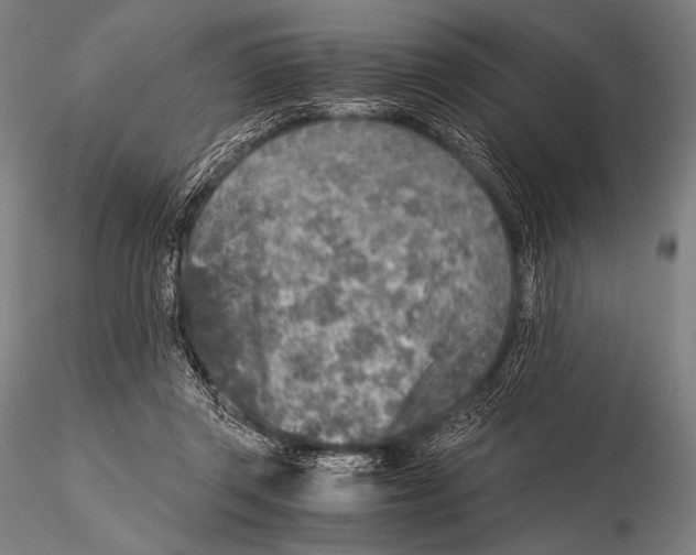 X0000115410357200912011345