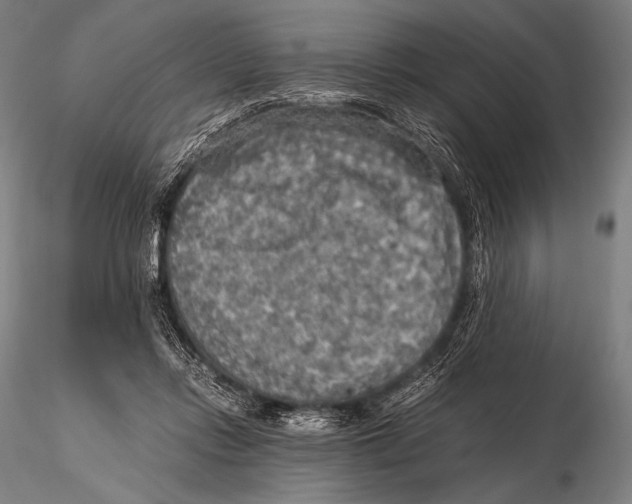 X0000115410358200912011345