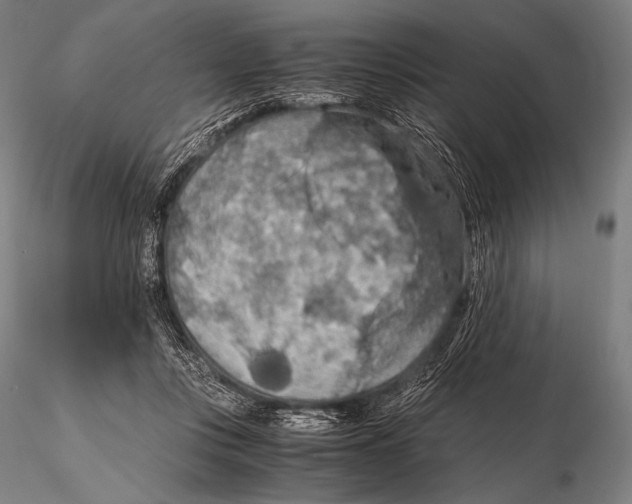 X0000115410359200912011345