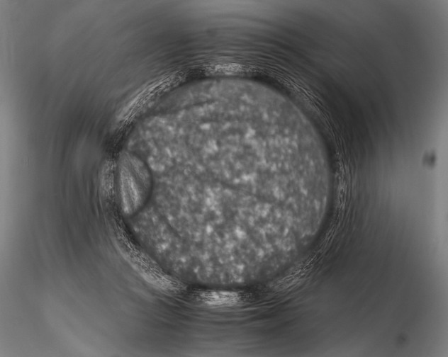 X0000115410361200912011345