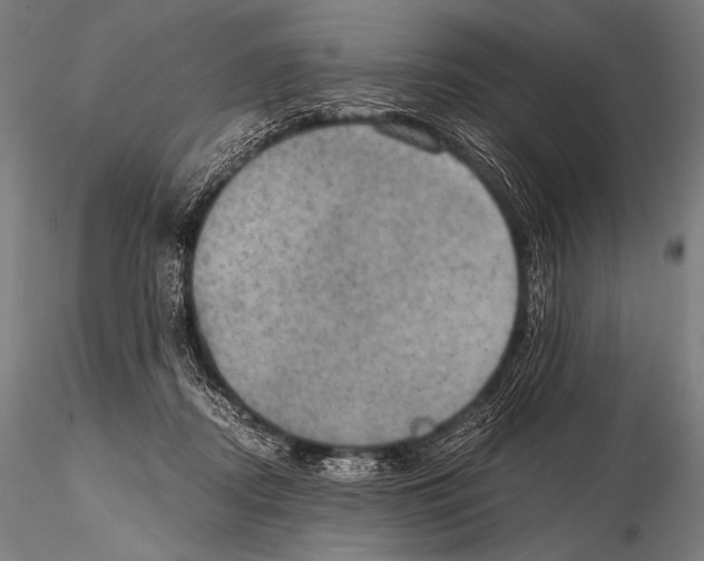 X0000115410362200912011345