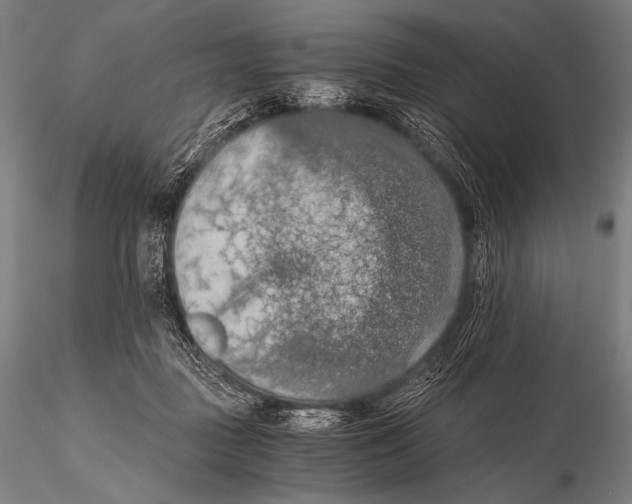 X0000115410363200912011345