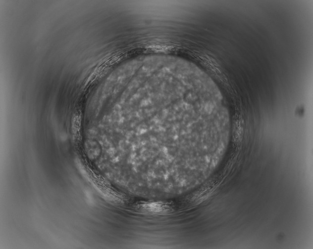 X0000115410365200912011345