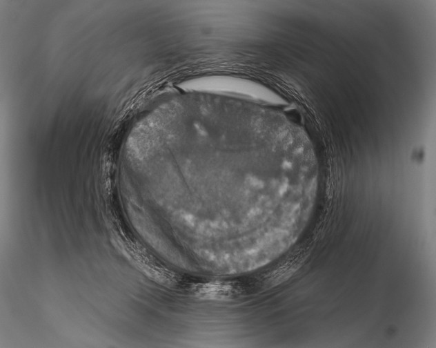 X0000115410366200912011346