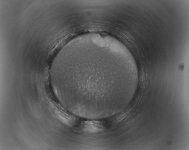 X0000115410367200912011346