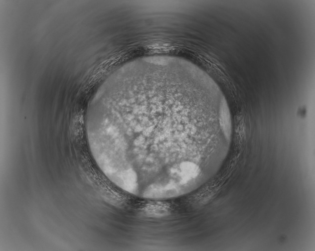 X0000115410369200912011346