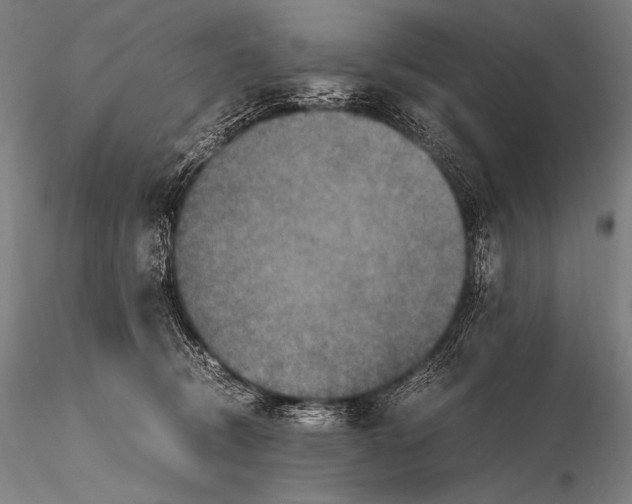 X0000115410370200912011346