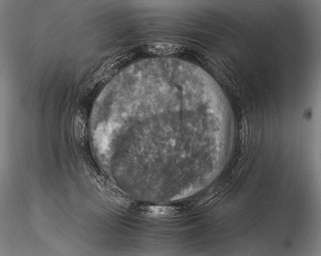 X0000115410371200912011346