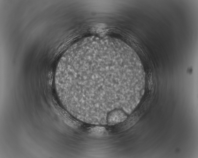 X0000115410374200912011346