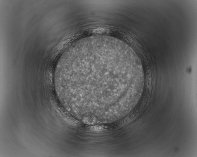 X0000115410375200912011346