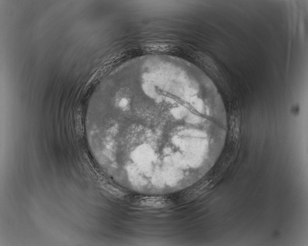 X0000115410377200912011346