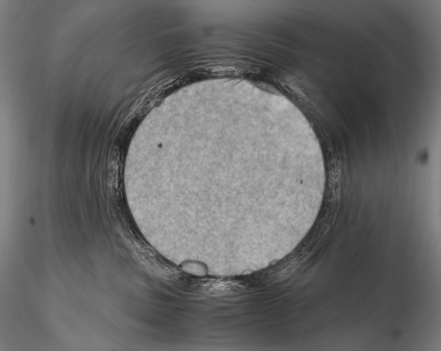 X0000115410379200912011346