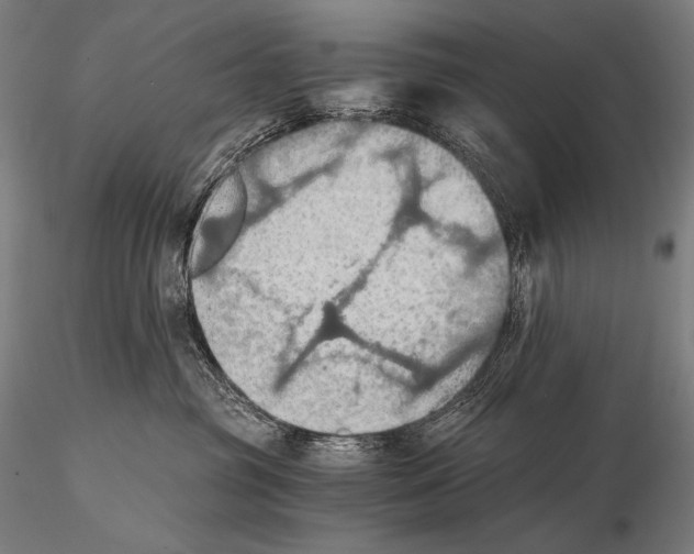 X0000115410381200912011346