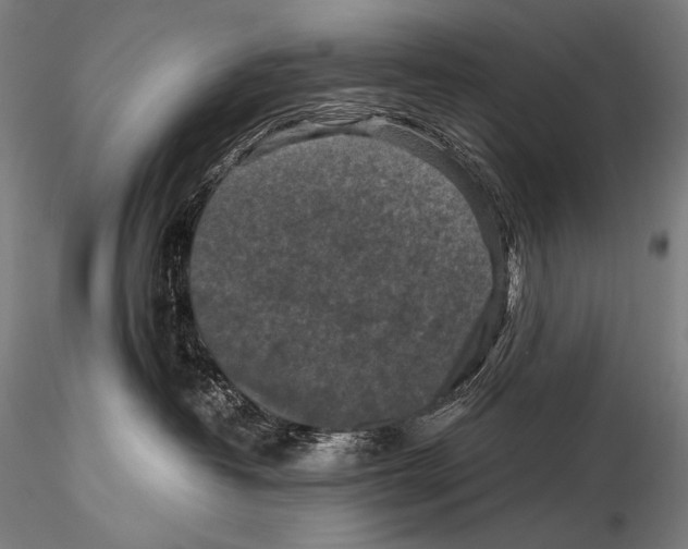 X0000115410382200912011346