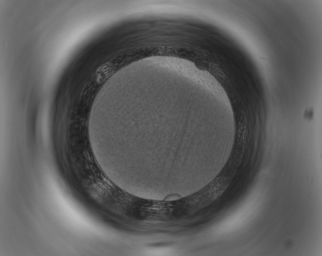 X0000115410383200912011346