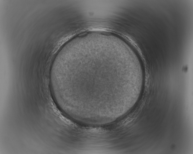 X0000115410385200912011345