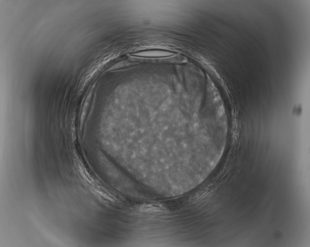 X0000115410386200912011345