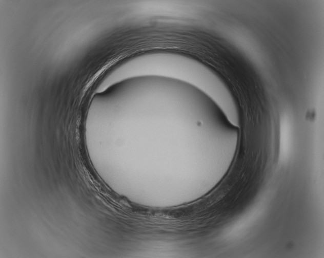 X0000115410387200912011345