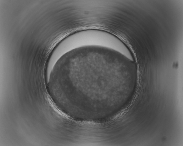 X0000115410389200912011345