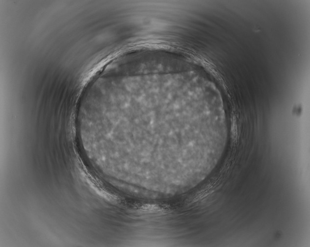 X0000115410390200912011345