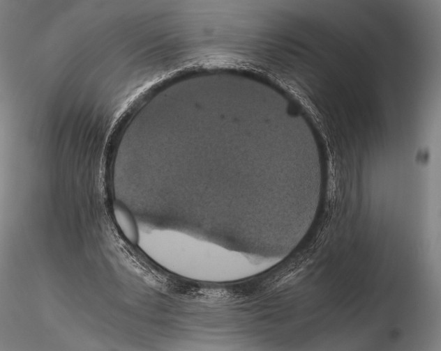 X0000115410391200912011345