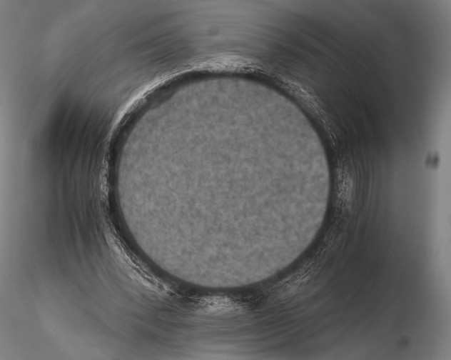 X0000115410392200912011345