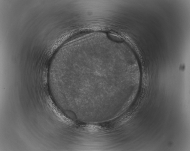 X0000115410393200912011345