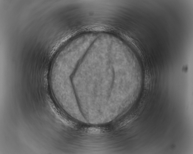 X0000115410394200912011345