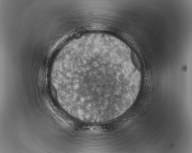 X0000115410395200912011345