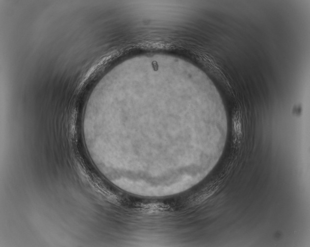 X0000115410396200912011345