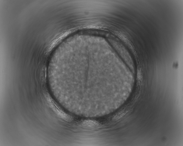 X0000115410397200912011345