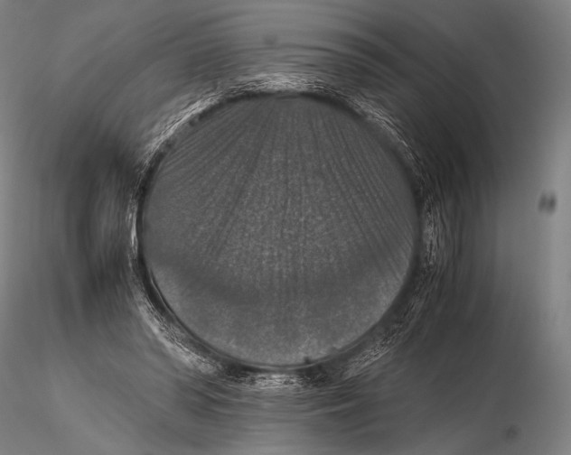 X0000115410398200912011345