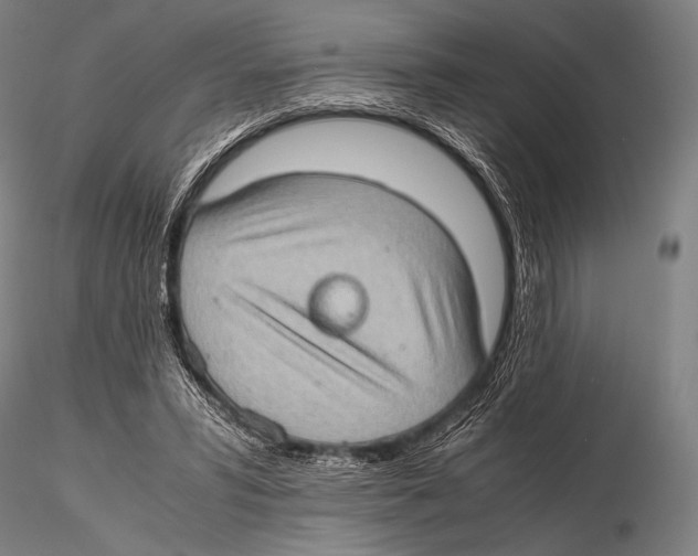 X0000115410399200912011345