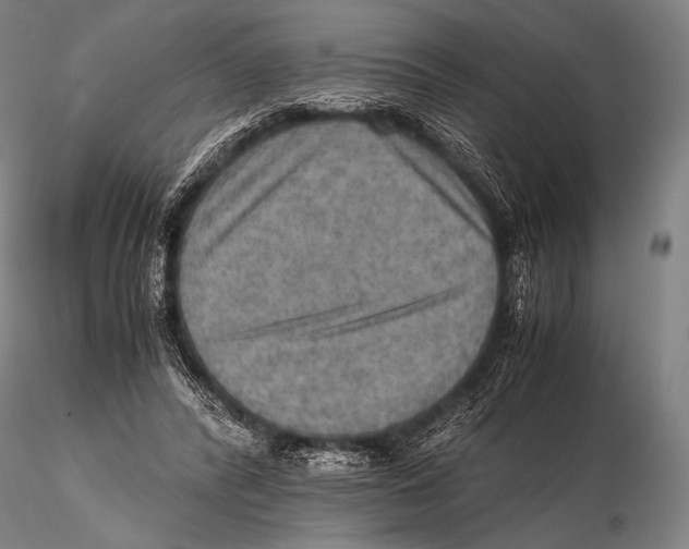 X0000115410400200912011345