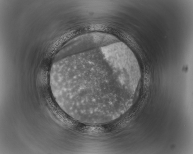 X0000115410401200912011345