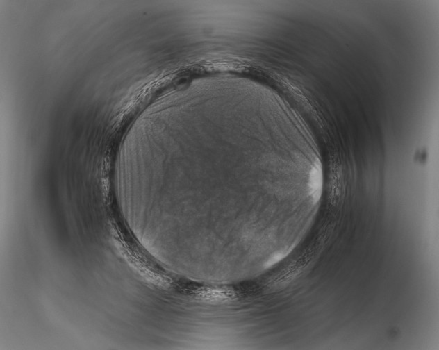 X0000115410402200912011345